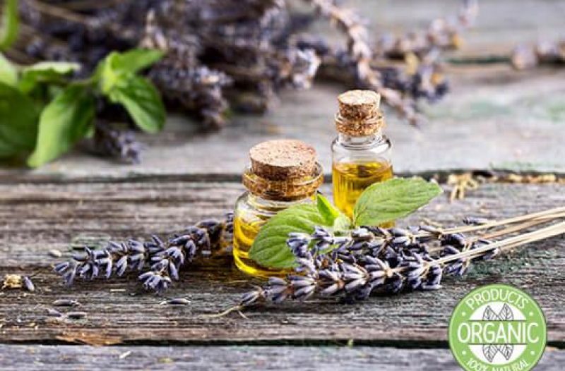 Glina - grad-glina.net - Florihana - Organska eterična ulja i hidrolati - BIO TERRA